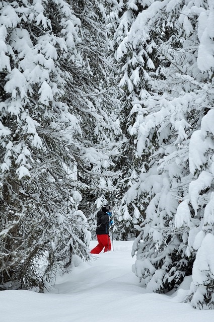 investir aux menuires-sapins enneigés